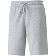 Pantaloni scurti barbati Puma Radcal 84743704