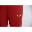 Pantaloni femei Nike Dri-FIT Academy CV2665-687
