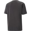 Tricou barbati Puma RADCAL 67331601