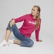 Hanorac femei Puma Essentials Metallic Logo 84909696