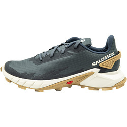 Pantofi sport barbati Salomon Alphacross 4 L41724100