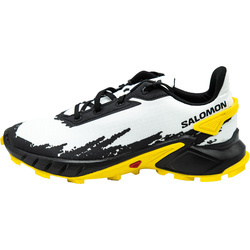Pantofi sport barbati Salomon Alphacross 4 L41724400