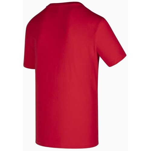 Tricou barbati Diadora SS Chromia 177765-45046