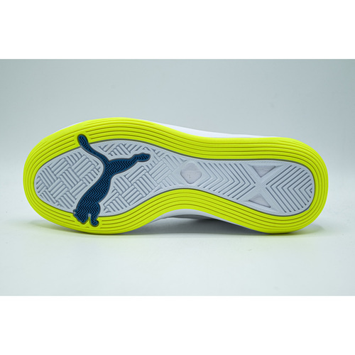 Pantofi sport barbati Puma Accelerate Pro 10646103